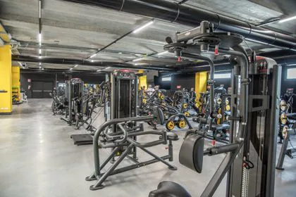 Palestra Athena 2.0